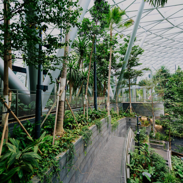 img-10